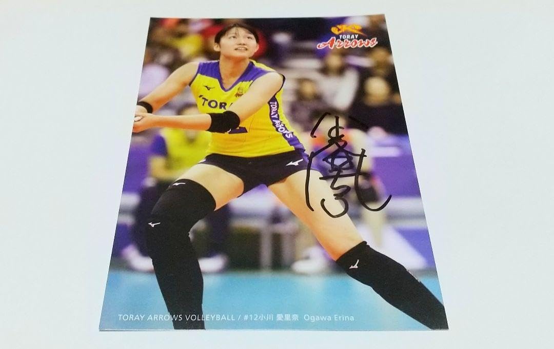 SVリーグ バレーボールカードコレクション 直筆サイン入り（小野寺選手